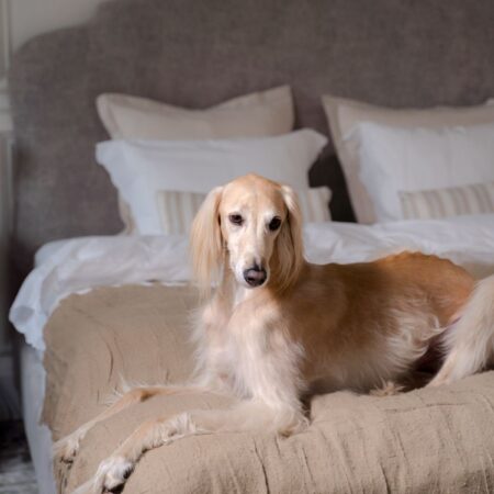 Best Throw Pillows US 2026: Sofa Styling & Comfort Guide
